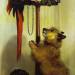 Macaw, Love Birds, Terrier, and Spaniel Puppies, Belonging to Her Majesty